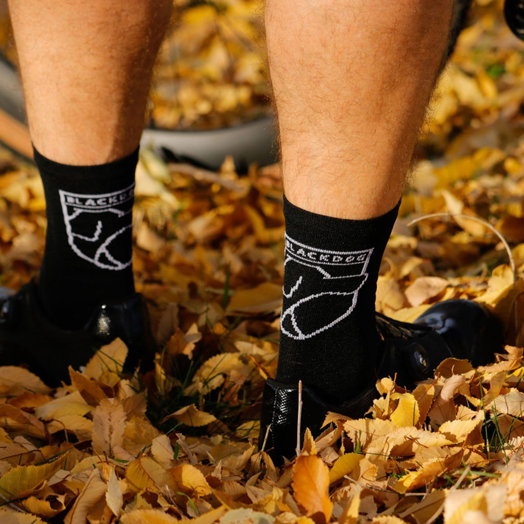 BD002 Talk It Out Socks