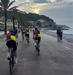 BD003 Harlequin Bib Short